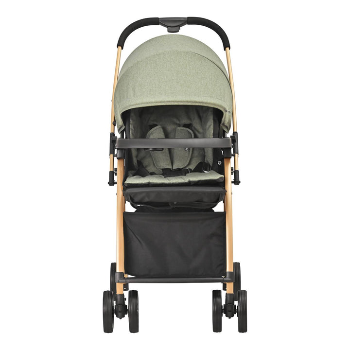 Carriola Prinsel Golf LX Verde